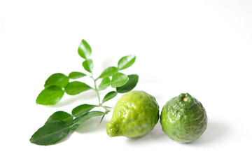 Kaffir lime Herb Essential oil used in spa.
