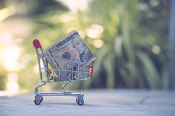 Shopping cart with dollar banknote USD