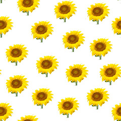Seamless pattern with large bright sunflowers on a white background.