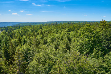 Panoramic view over Black Forest in Germany