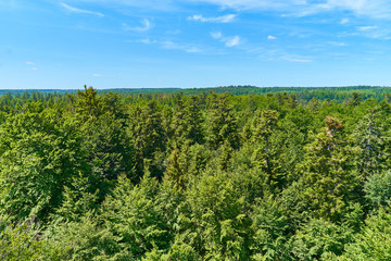 Naklejka premium Panoramic view over Black Forest in Germany