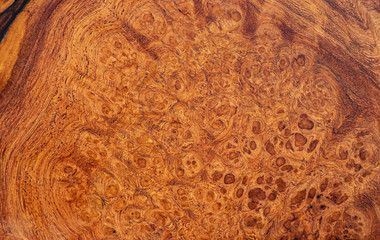 Nature afzelia burl wood striped, Exotic wooden beautiful pattern for crafts or abstract art texture background