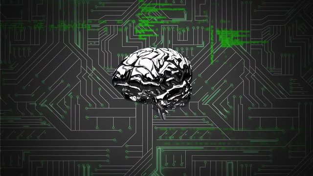 Brain and a digital circuit with program codes