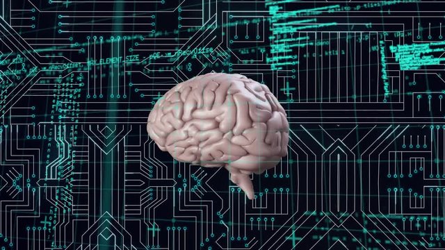 Brain and a digital circuit with program codes