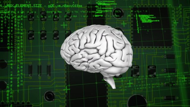 Brain and a digital circuit with program codes