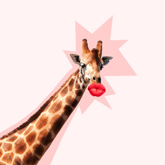 Giraffe's head with shadow against it kissing by the big red female mouth. Negative space to insert...