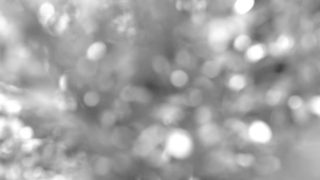 Beautiful organic black and white blurry video background.