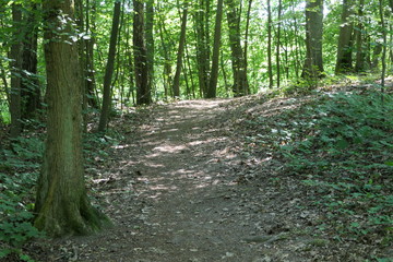 Obraz premium Wege durrch das Land Nr. 18