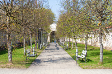 Avenue with trees and benches for relax and retirement 