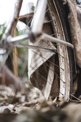 Rueda de bicicleta antigua sobre hojas