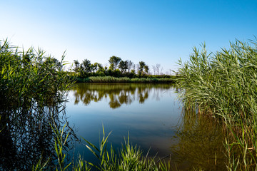 Fototapeta na wymiar Lake with clean water
