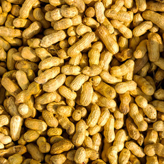 Peanut background food. peanuts in shell texture. Close-up of peanuts in shkarlupe view from above.