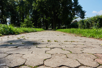 The sidewalk paved with brick blocks goes with the prospect of a distance. Comfortable straight the sidewalk