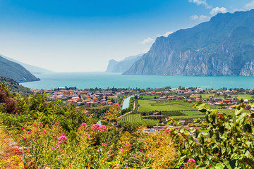 Summer landscape, Italy
