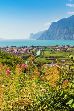 Summer landscape, Italy