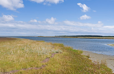 Fototapeta na wymiar Laesoe / Denmark: View from a salt marsh island in the south of the Kattegat island over a shallow tidal creek to the island of Hornfiskroen with it’s dark green forest in the back
