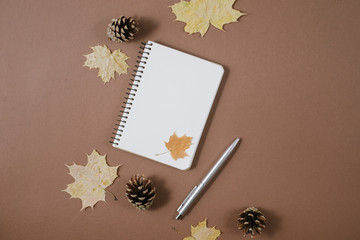 Autumn composition. Golden maple leaves, bumps, notebook and pen on brown background. Autumn or Winter concept. Flat lay, top view