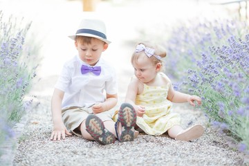 Little brother and little sister are sitting near the blooming lavender. Warm summer. Spring.