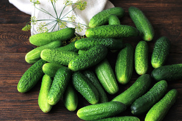 Farm cucumbers on wooden background. Close-up, copy space.