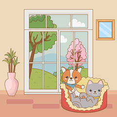 Cat and dog cartoon design vector illustrator