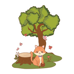 Cat cartoon design vector illustrator