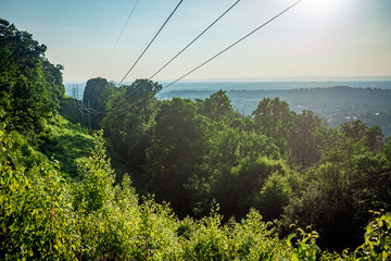 Power lines through the woods