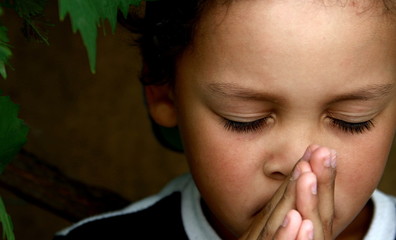 little boy praying to God with hands held together with closed eyes stock image and  stock photo