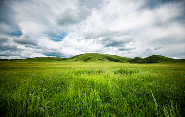 Fototapeta premium china Mulan paddock 