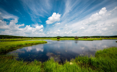 China Mulan paddock with beautiful lake