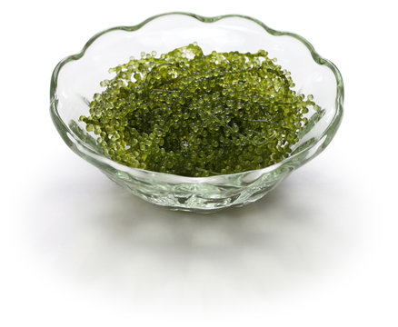 Umi Budo, Green Caviar, Sea Grapes, Seaweed, Edible Algae