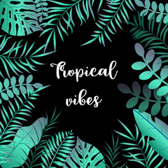 Summer tropic background with palm leaves
