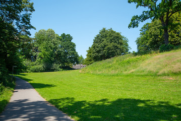 Park landscape. Summer green meadow