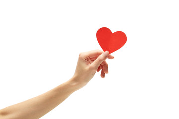 Red heart in woman hand on white