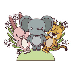 set of cute animals with branch and leaves of background
