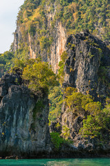 Close-up view of the cliff covered with tropical greenery on the shore in Asia