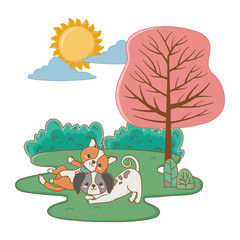 Obraz na płótnie Canvas Dogs cartoons design vector illustrator