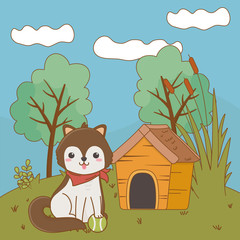 Dog cartoon design vector illustrator