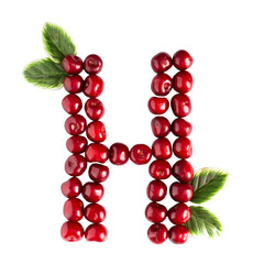 One English letter H Alphabet of ripe cherries. Isolate on white background. Summer, healthy concept.