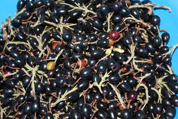 berries on a black background
