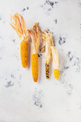 Mais kolben auf weissem hintergrund