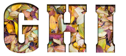 Abc letters autumn leaves, on a white background. Letters GHI.