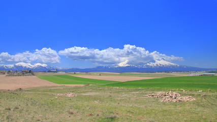 Green agricultural fields of Cappadocia on the background of snowy mountains.