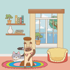 Cats cartoons design vector illustrator