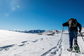 Fototapeta na wymiar skier in Alaska