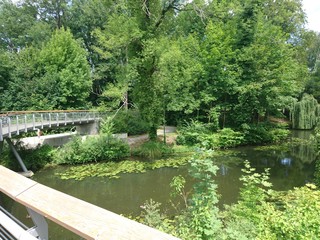 Obraz premium Brückenbogen ins Grüne