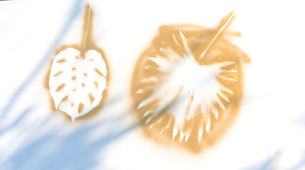 golden palm tropical leaves isolated on white background