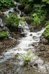 A powerful mountain stream flows down from the rocks and stones.