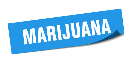 marijuana sticker. marijuana square isolated sign. marijuana