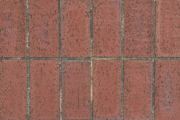 レンガ-地面