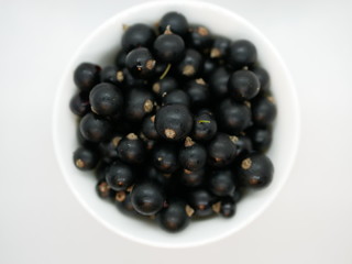 Ripe black currant berries in a small white Cup on a white background. Black currant harvest. Natural vitamin. Healthy food. vegetarian food.